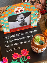Load image into Gallery viewer, 🌟ALTAR DE LUZ 🌟