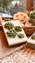 Load image into Gallery viewer, SUCCULENTS 🌟SOAPS🌟