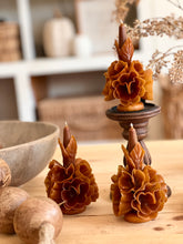Load image into Gallery viewer, ✨Oaxaca floral color brown ✨