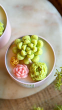 Load image into Gallery viewer, ✨ Spring green garden✨special season✨