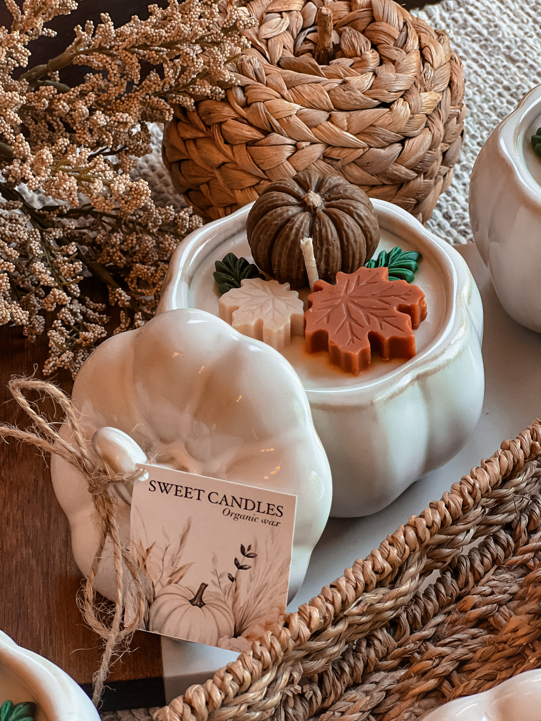 🤎🤍WHITE PUMPKIN 🤍🤎