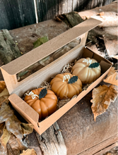 Load image into Gallery viewer, 🎃🌾PUMPKIN PATCH🎃🌾
