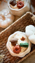 Load image into Gallery viewer, 🍁Pumpkin Harvest🍁special season 🍁
