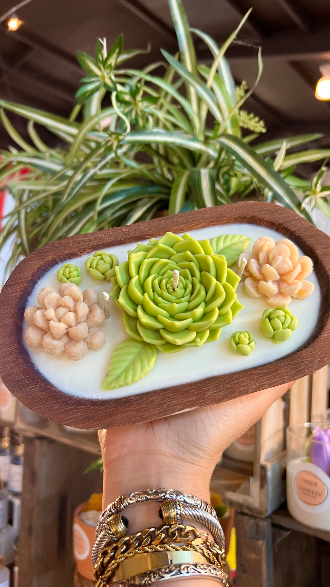 ✨Succulents flowers ✨