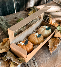 Load image into Gallery viewer, 🎃🌾PUMPKIN PATCH🎃🌾
