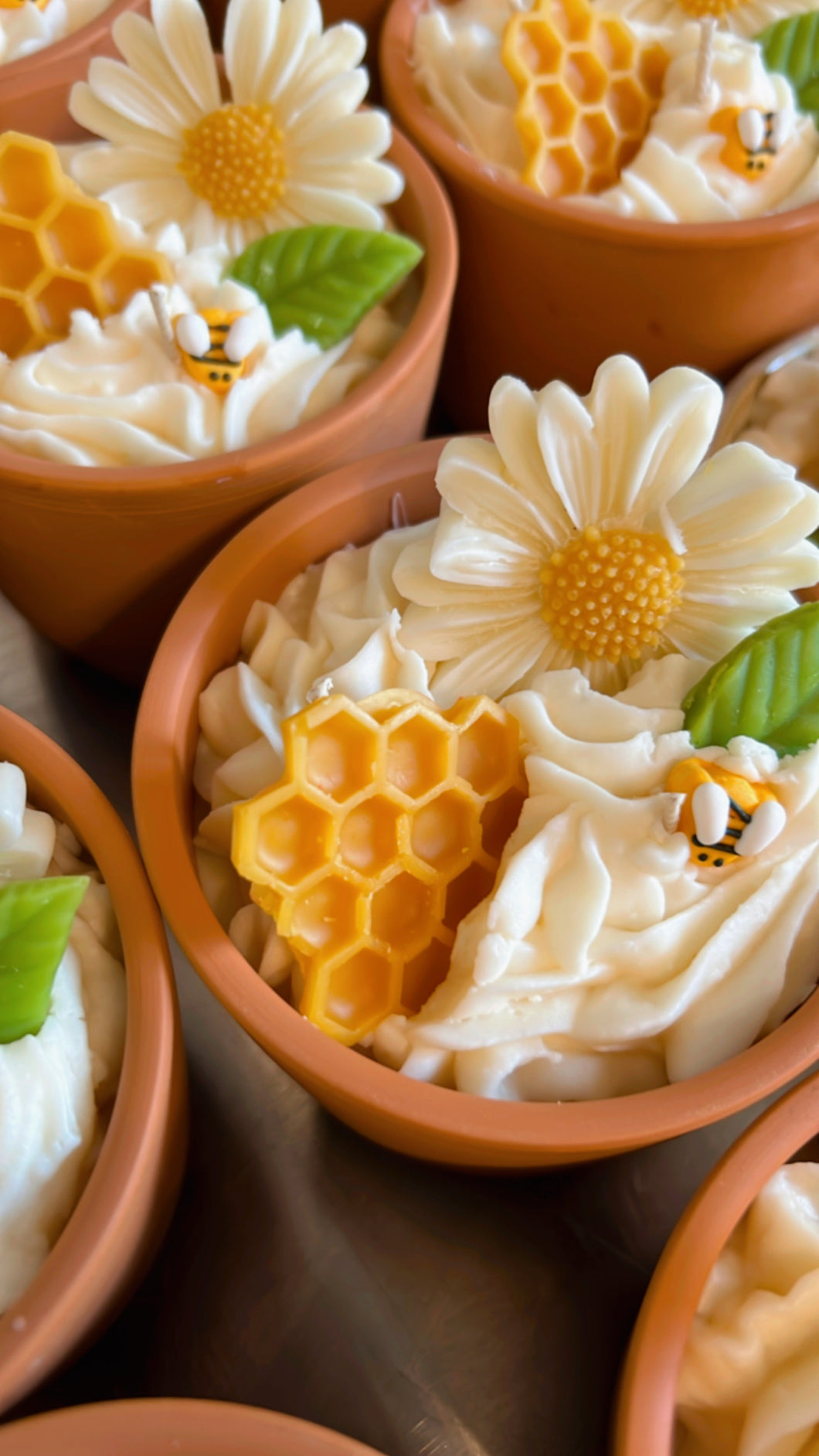 🌟Daisy & Honey🌟