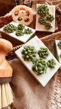 Load image into Gallery viewer, SUCCULENTS 🌟SOAPS🌟
