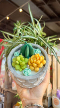 Load image into Gallery viewer, ✨CACTUS ✨
