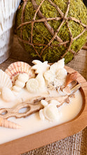 Load image into Gallery viewer, 🐚 Seashell Paradise⭐️CANDLE⭐️
