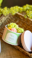 Load image into Gallery viewer, ✨ Spring green garden✨special season✨
