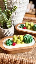 Load image into Gallery viewer, ✨CACTUS GARDEN ✨SPECIAL SEASON ✨
