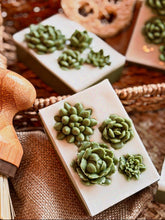 Load image into Gallery viewer, SUCCULENTS 🌟SOAPS🌟

