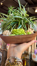 Load image into Gallery viewer, ✨Succulents flowers ✨
