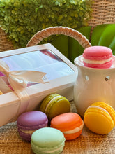 Load image into Gallery viewer, ✨MACAROONS  ✨
