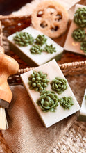 Load image into Gallery viewer, SUCCULENTS 🌟SOAPS🌟
