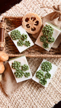 Load image into Gallery viewer, SUCCULENTS 🌟SOAPS🌟
