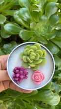 Load image into Gallery viewer, 🌟SUCCULENTS CANDLE 🌟
